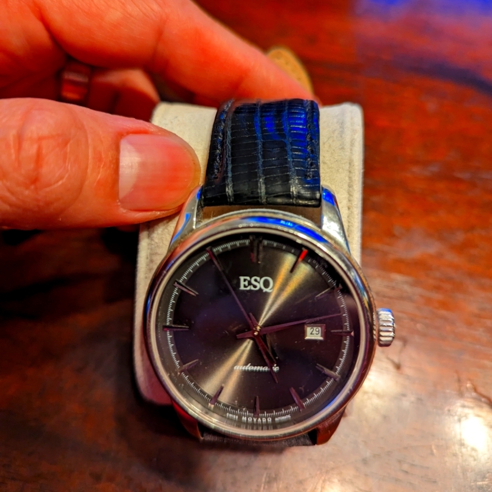 ESQ by Movado Black Watch